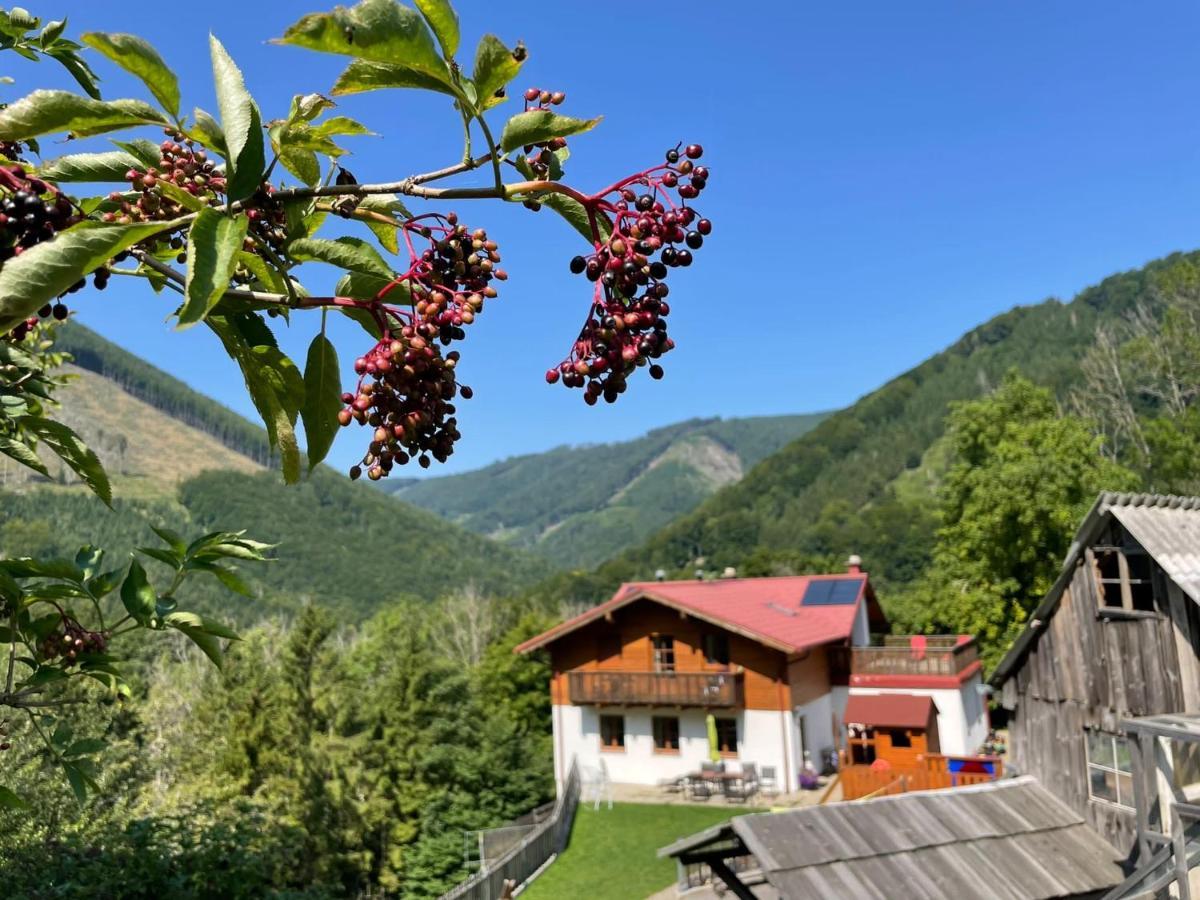 Buechlhof - App. Breitenstein Lilienfeld المظهر الخارجي الصورة
